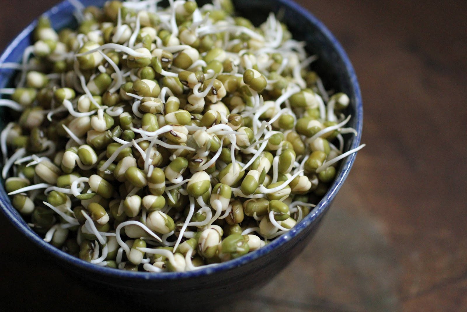 11 Best Bean Sprout Substitutes – Healthy and Crunchy Alternatives for Every Recipe